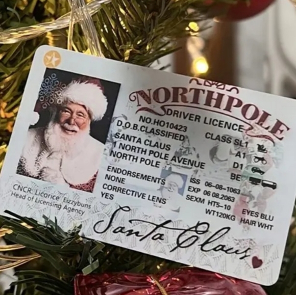 Santa Claus  Replacement Driver Sleigh Licence NWT - Picture 5 of 6